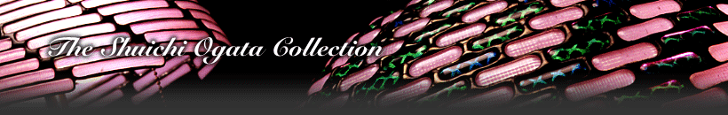 The Shuichi Ogata Collection
